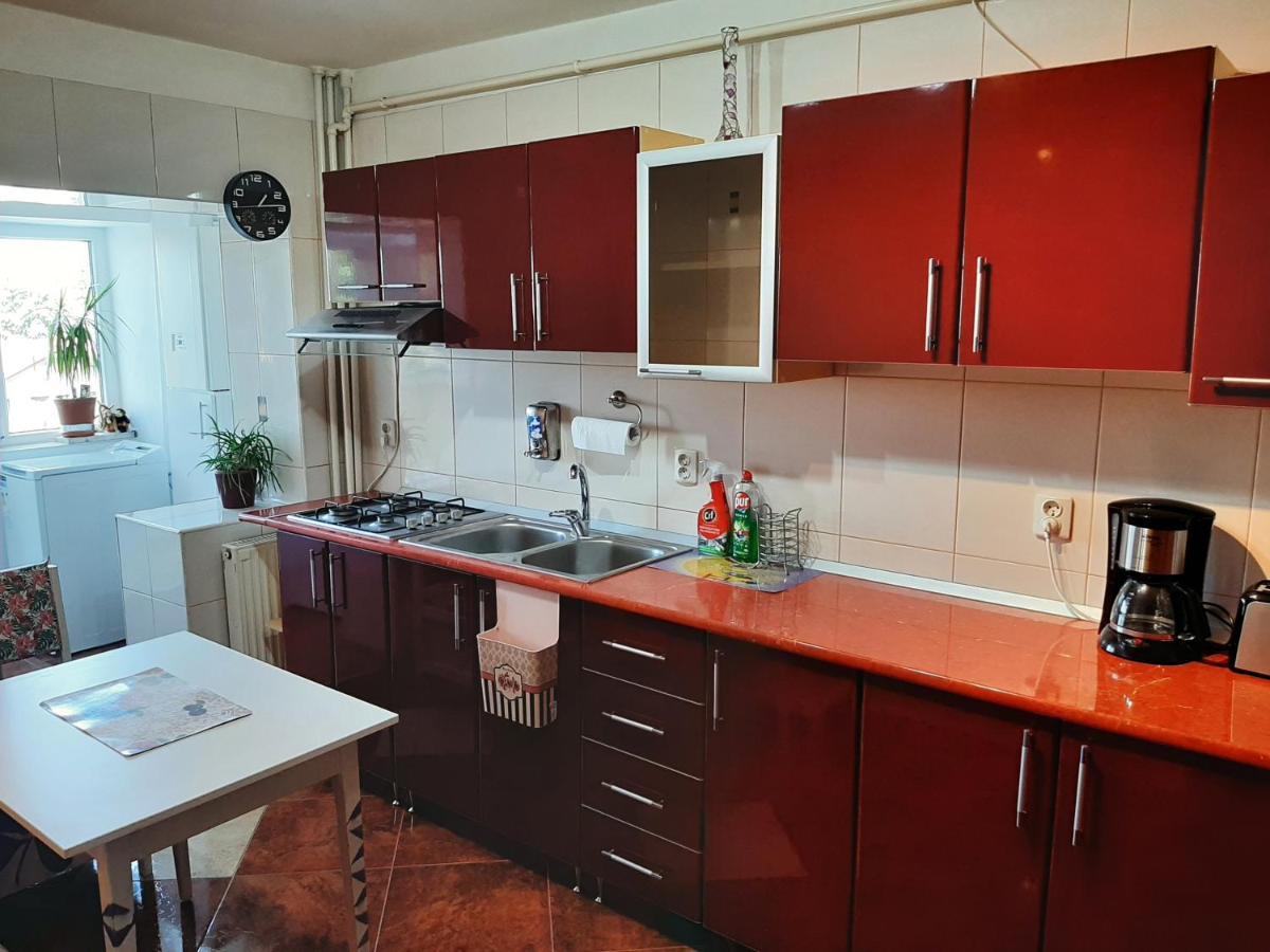Ultracentral,Parcul Catedralei,Apartament 2 Camere Bacău Eksteriør bilde